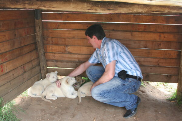 Allan preparing for life in the lion’s den