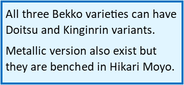 FACT SHEETS – BEKKO – Koi Judges UK | The former BKKS JSC